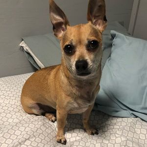 Meet your Posher, Haley